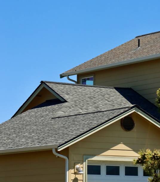 Best Gutter Installation and Repair  in Ten Mile Run, NJ
